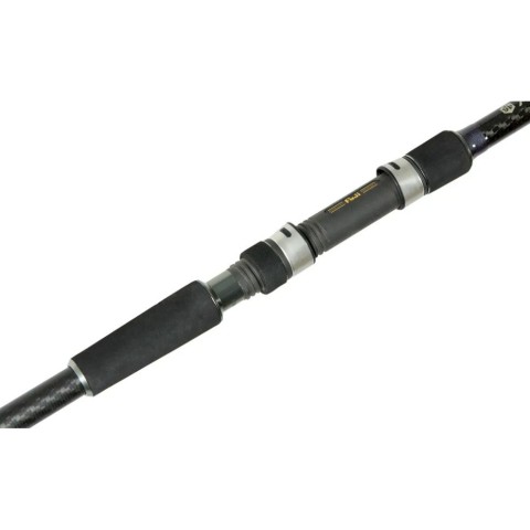 Вудилище коропове Brain Evidence 13'/3.90m 3.5lbs - 2sec