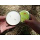 Свеча репеллентная Pharmavoyage Anti-Mosquito Candle