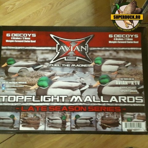 Чучела кряквы Поздний Сезон TOPFLIGHT Late Season Topflight Mallards 4 селезня и 2 утки фирмы Avian-X