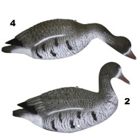 Опудала білолобу гуску Sport Plast (шкарлупки)