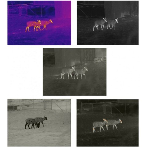 Тепловізор INFIRAY (iRay) xEye E3W