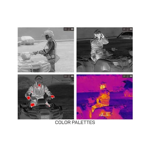 Тепловізійний монокуляр AGM Taipan TM10-256