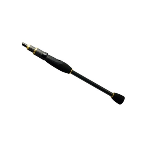 Спінінг Favorite Synapse SYS-662L 1.98m 2-12g M-Fast