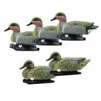 Комплект опудал 3 чирка 2 самки сірі