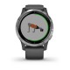 Смарт-годинник Garmin vivoactive 4 сірий зі сріблястим безелем