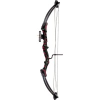 Лук блоковий Poe Lang 40Lbs