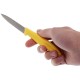 Кухонний ніж Victorinox SwissClassic Paring лезо 8см з жовт. ручкою 2шт (блістер)