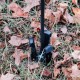 Штатив Vanguard Alta Pro 2+ 263AP (Alta Pro 2+ 263AP)