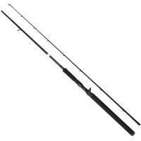 Спінінг Savage Gear SG2 Jerk Specialist Trigger 2.06m 80-150g Casting