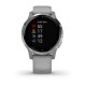 Смарт-часы Garmin vivoactive 4S пыльно-серые с серебристым безелем