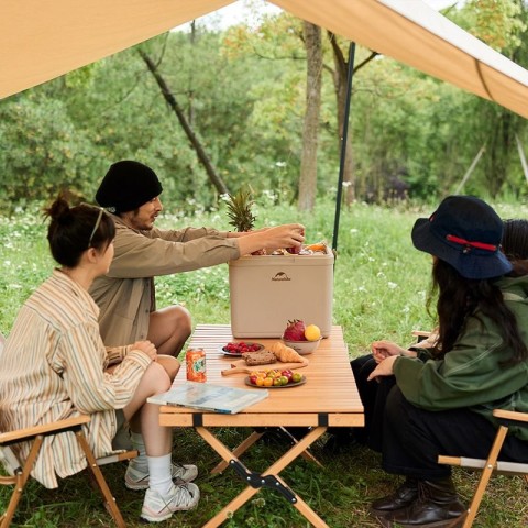 Туристичний холодильник Naturehike CNK2300BS011, 24 л, бежевий