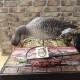Чучела полнообъемных серых гусей-AXP Greylag Fusion Avian-X