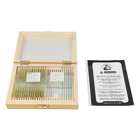 Набір мікропрепаратів KONUS Зоологія: Репродукція у безхребетних (15 шт.)