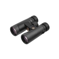 Бинокль LEUPOLD BX-2 Alpine 10x42mm Roof тёмно-серый