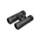 Бинокль LEUPOLD BX-2 Alpine 10x42mm Roof тёмно-серый