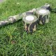 Самоклеящаяся защитная камуфляжная лента