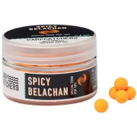 Бойлы Carp Catchers Pop-Up Special Tone Spicy Belachan 8mm
