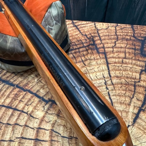 Пневматична Crosman Storm XT б/у