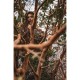 Спальний мішок, що надівається Selkbag REALTREE INSTINCT, розмір L, камуфляж