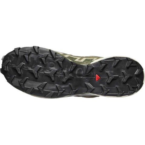 Кроссовки Salomon SPEEDCROSS 6 GTX 9 Aloe/Aspargusgreen