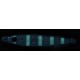 Пилкер Golden Catch Ferina 8.5g 44mm #105G Glow