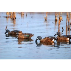 Опудала качок Storm Front 2 Blue-winged - 6шт.