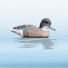 Чирок самка