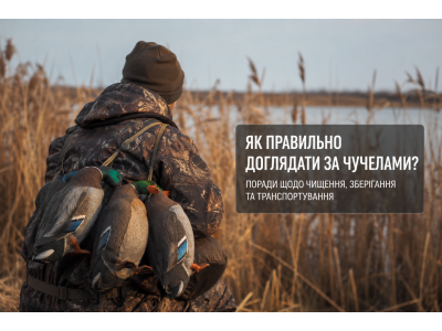 Як мити, зберігати та перевозити опудала, щоб вони служили довше