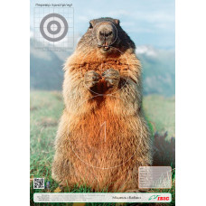 Мішень ИБІС Бабак