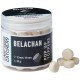 Бойлы Carp Catchers Pop-Up Toppers Belachan 12, 14mm