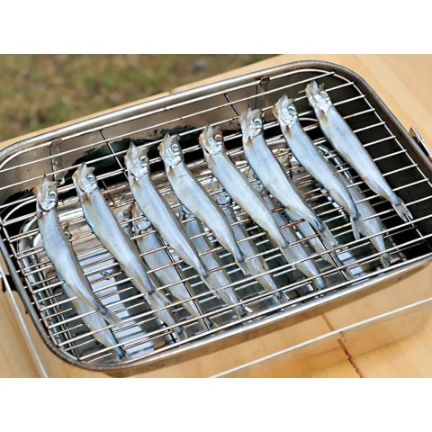 Коптильня для риби Snow Peak Compact Smoker CS-092