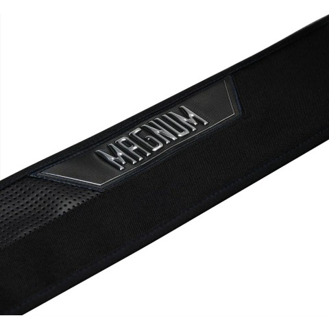 Спиннинг Favorite Magnum MGM1-6102M 2.10m 6-26g Fast