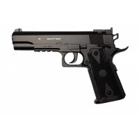 Borner Power win 304 (Colt)