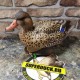 Опудала крижні качок Greenhead серія Pro-Grade XD Early Season компл.3 шт.