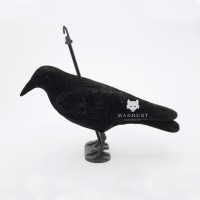 Опудало ворона. Ворон.