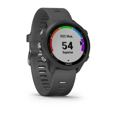 Смарт-часы Garmin Forerunner 245 с серым ремешком