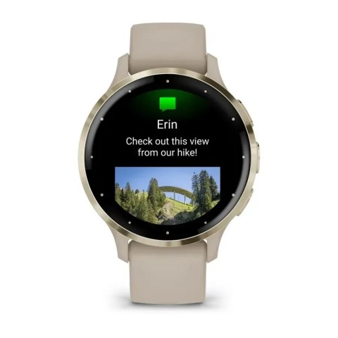 Смарт-годинник Garmin Venu 3s французький сірий із золотистим сталевим безелем і силіконовим ремінцем