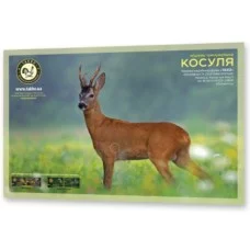 Мишень для стрельбы 