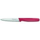 Нож кухонный Victorinox Standart 10 см, красный