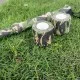 Самоклеюча захисна камуфляжна стрічка